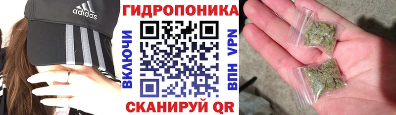 Каннабис OG Kush Новомосковск
